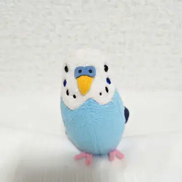 세키구치 코토리 컬렉션 잉꼬 봉제 인형 클립 블루