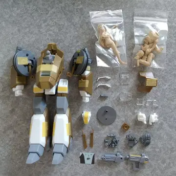 아오시마 가랜드 자치군 컬러