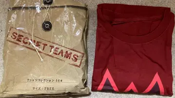 포켓몬 마그마단 SECRET TEAMS 티셔츠 컬렉션