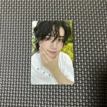 txt 팝업 starkissed 트레이딩 카드 포토 카드 범규 2