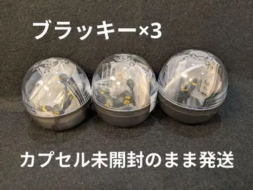 포켓몬 센터 가챠가챠 말을 듣지 않는 블래키 3개 세트 새상품