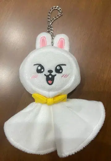 Stray Kids 리비트 백참