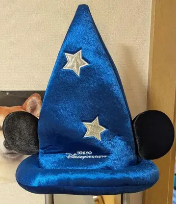 디즈니 판타지아 팬캡 마법사