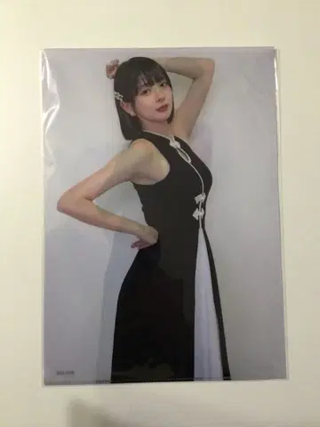 오카다 사야카 타케다 히나호 A4 클리어 파일