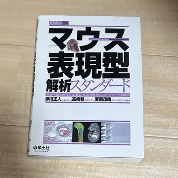 마우스 표현형 해석 스탠다드