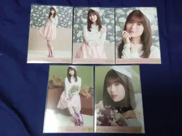 노기자카46 이와모토 렌카 할로윈 2025 개별 5종