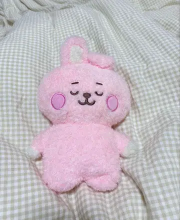 BT21 COOKY 봉제 인형