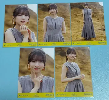 노기자카46 브로마이드 스가와라 사츠키 same numbers 5종 컴프