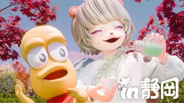 [ 익명 배송 ] 포코피의 회람판 시즈오카 입장 혜택 포코피 퐁포코