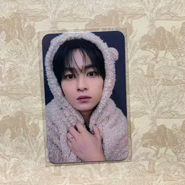 Straykids 프리리스 KARMA FANS 트레이딩 카드 리노