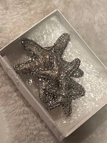 muveil 별 모양 헤어 클립 실버