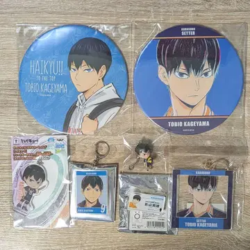 하이큐 카게야마 토비오 모음 카라스노 캔뱃지 키링