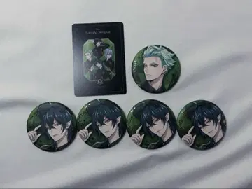 말레우스 드라코니아 세벡 지그볼트 브레이징 주얼 캔뱃지 5주년