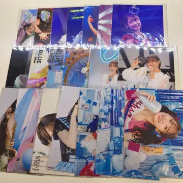 i Ris 세리자와 유우 브로마이드 생사진 21장 세트