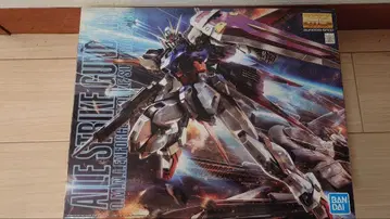 MG 스트라이크 건담 ver RM