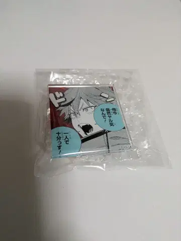 극락가 아크릴 배지 알마