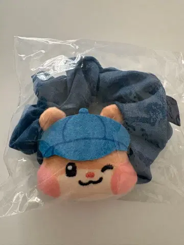 zeroni 애니마이 복권 비니니 스크런치 한빈 ZEROBASEONE