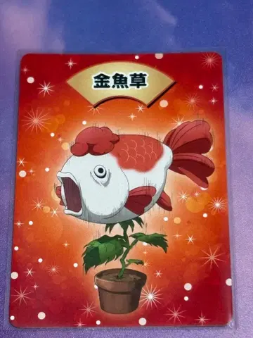 오리지널 카드 호오즈키의 냉철 호오즈키 나라 건강랜드 금붕어풀