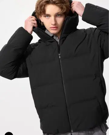 UNIQLO 심리스 다운 파카