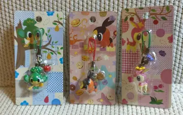 야나프 포카부 시키지카 타입 포커스