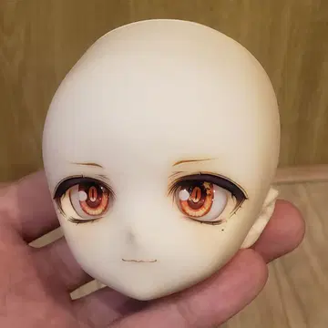 돌피드림 MDD 커스텀 헤드