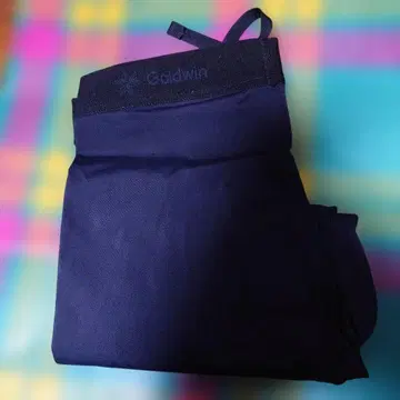 Goldwin Compression Long Tights M BK