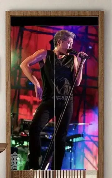 요시카와 코지 도어 커튼 노렌