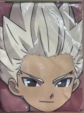 미사용 새상품 고엔지 슈야 특대형 천 포스터