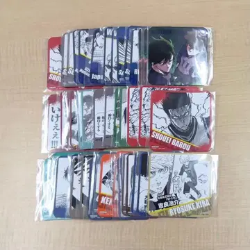 블루 록 프린세스 카페 코스터 47개 묶음 판매