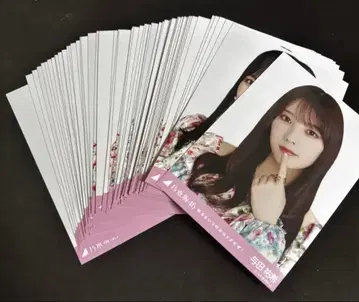 노기자카 좋아한다는 것은 락이다 브로마이드 장미 묶음 판매