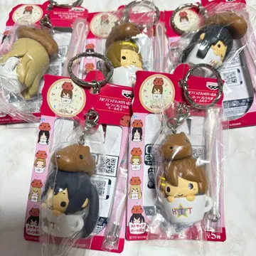 카피바라 씨 x 케이온! 스트랩으로도 되는 키링 ~5개 세트~