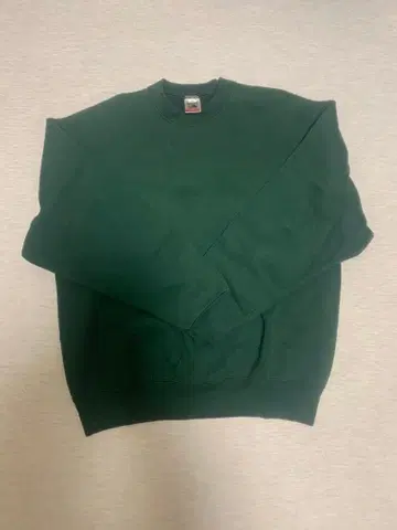 90s fruits of the room 무지 맨투맨 그린