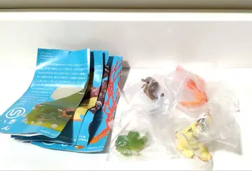 네이처 테크니컬러 해변의 생물 마그넷 볼체인 2종