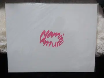 아무로 나미에 break the rules 2001 팜플렛