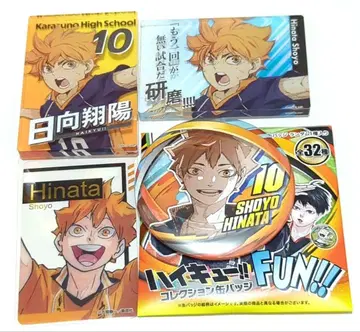 하이큐 히나타 쇼요 FAN 캔뱃지 아크릴 블록 금박 클리어 카드