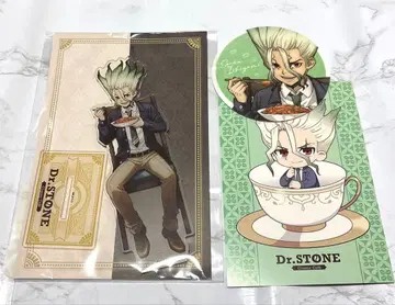 Dr.STONE 아모카페 아크릴 스탠드 이시가미 센쿠