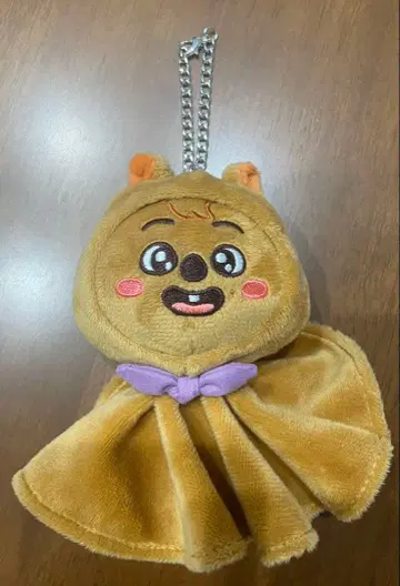 Stray Kids 한쿼카 백참