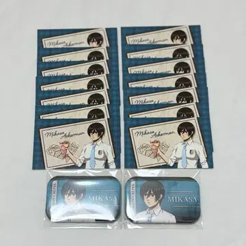 진격의 거인 미카사