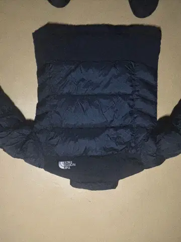 THE NORTH FACE SUMMIT SERIES 다운 자켓