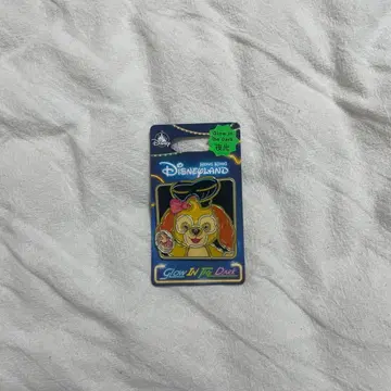 홍콩 디즈니랜드 쿠키 앤 핀 배지