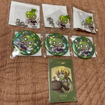 Dr.STONE 수박 캔뱃지 아크릴 키링 스티커 세트