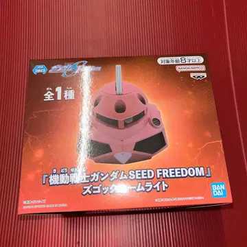 즈고크 룸 라이트