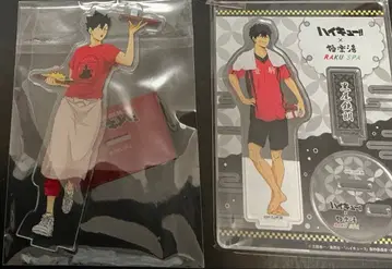 하이큐 쿠로오 테츠로