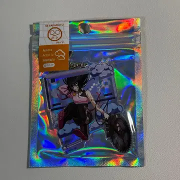 오로라 아크릴 키링 대불