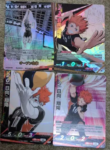 하이큐 바보카 BREAK 오픈 공격 SP 히나타 쇼요  S R