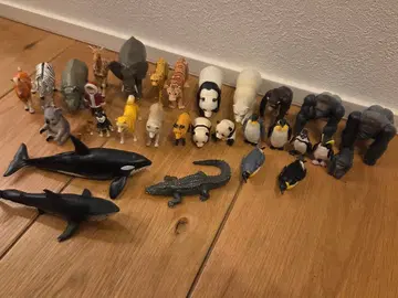 아니아 동물 피규어 세트