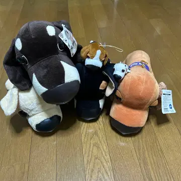 the dog 봉제 인형 세트 (복수 색상) 6종류