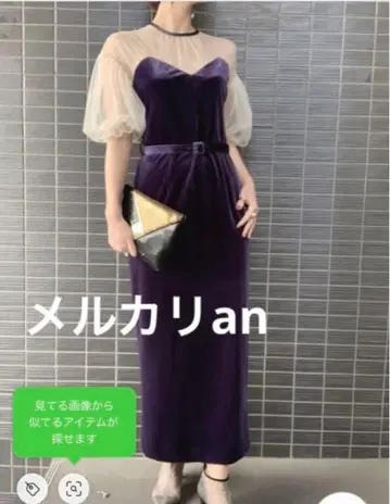 AMERI TULLE SLEEVE TIGHT DRESS