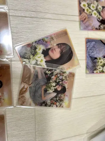 노기box Blooming Fairy Town 모바카 세토구치