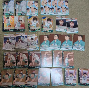 하이큐 바보카 BREAK 쓰레기장의 결전 오이카와 토오루 세이죠